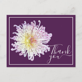 Pink Spider Mum mit Lila Hintergrund Vielen Dank Postkarte