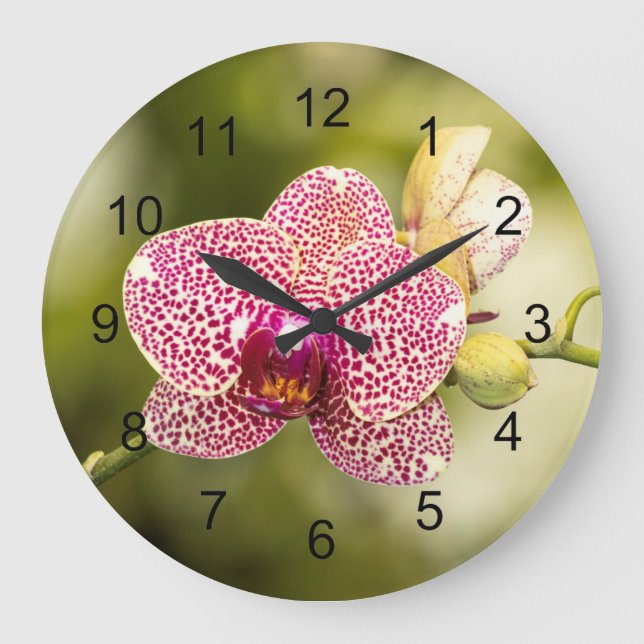 Pink spotted orchid  große wanduhr (Vorderseite)