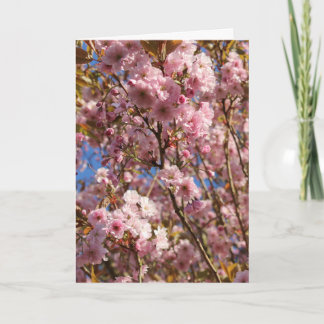 Pink Spring Cherry Blossom Karte