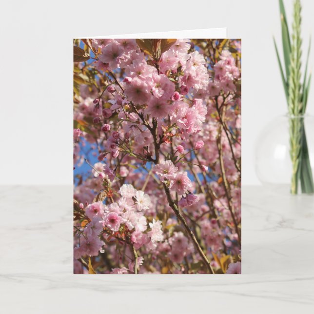 Pink Spring Cherry Blossom Karte (Vorderseite)