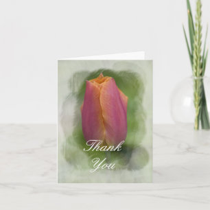 Pink Spring Tulip Danke