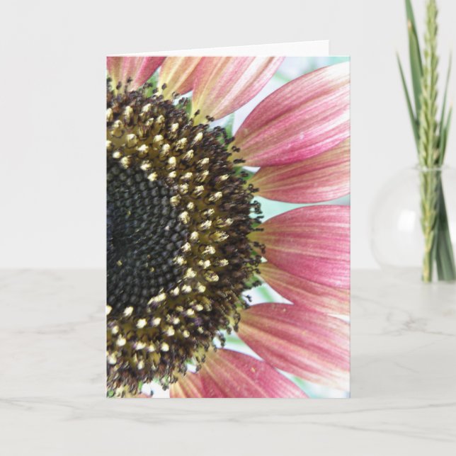 Pink Sunflower Grußkarte Karte (Vorderseite)