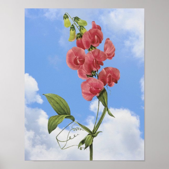 Pink Sweet Pee Floral Art Poster (Vorne)