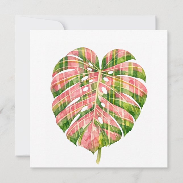 Pink Tartan Scottish Monstera Watercolour Botanic (Vorderseite)