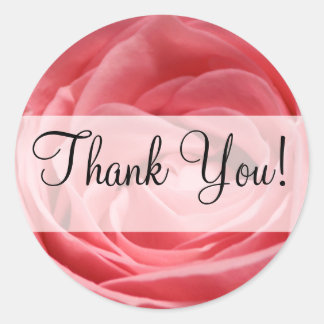 Pink Tee Rose mit dem Banner "Danke!" Runder Aufkleber