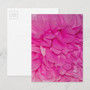 Pink Tissue Blume Realistisches Textil-Foto Postkarte