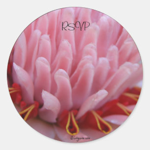 Pink Torch Ginger Hochzeitskenner Umschlag Aufkleb Runder Aufkleber