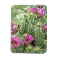 Pink Trill Bloom Cactus Decorative Kühlschrankmagn