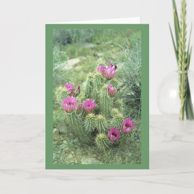 Pink Trill Wüste Kaktus Gruß oder Mitteilungskarte (Vorderseite)