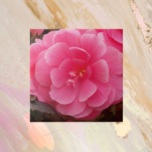 Pink Tuberous Begonia Floral Fliese