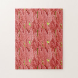 Pink Tulip