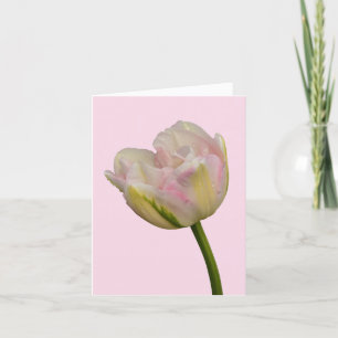 Pink Tulip Blank oder benutzerdefinierte Begrüßung Karte