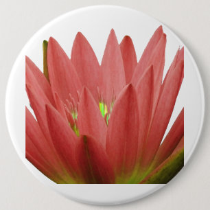 Pink Tulip Button