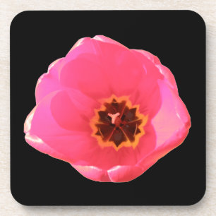 Pink Tulip Cork Untersetzer