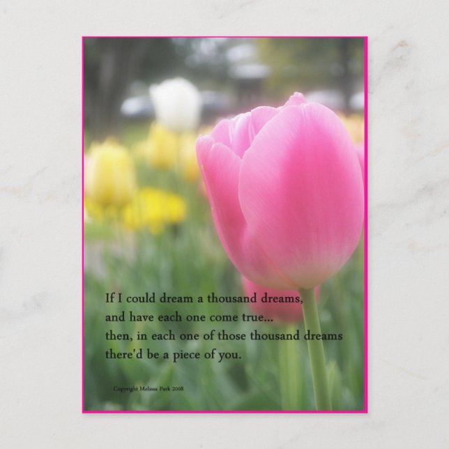 Pink Tulip Gedicht Postkarte Tausende von Träumen (Vorderseite)