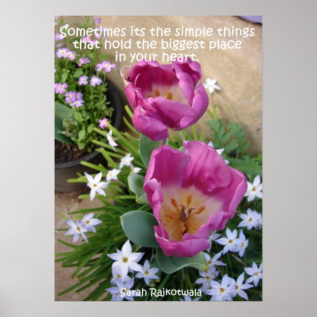 Pink Tulip Kleine Dinge Frühjahrspriorenposter Poster (Vorne)
