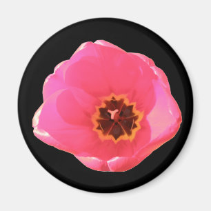 Pink Tulip Magnet