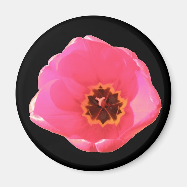 Pink Tulip Magnet (Vorne)
