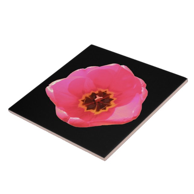 Pink Tulip Tile Fliese (Seite)