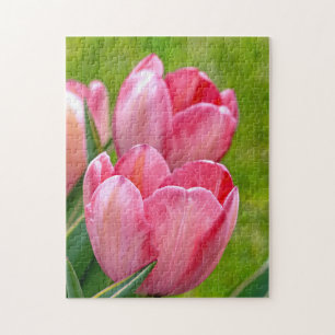 Pink Tulips