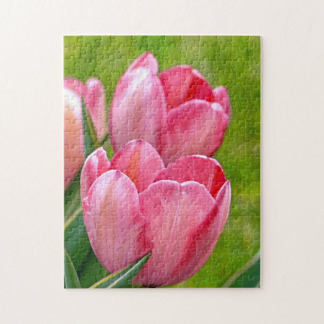 Pink Tulips (Vertikal)
