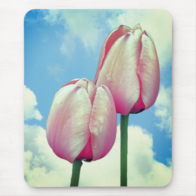 Pink Tulips Blue Sky Wolken Natur Mousepad (Vorne)