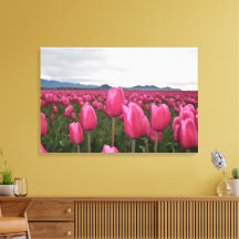 Pink Tulips Blume Stretched Canvas Print