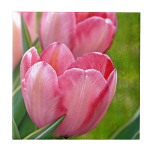 Pink Tulips Fliese