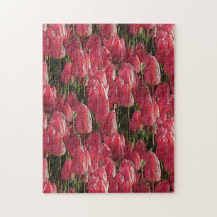 Pink Tulips Floral