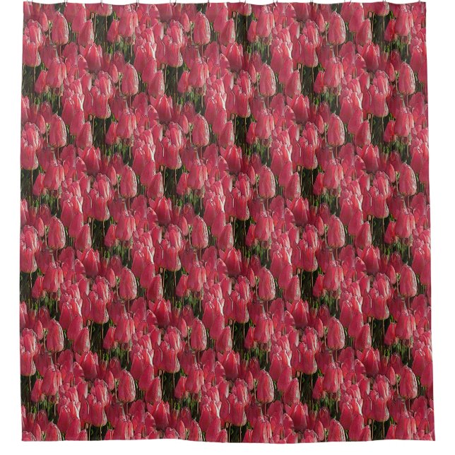 Pink Tulips Floral Duschvorhang (Vorderseite)