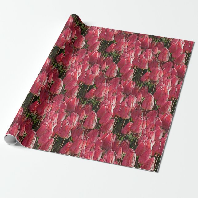 Pink Tulips Floral Geschenkpapier (Ungerollt)