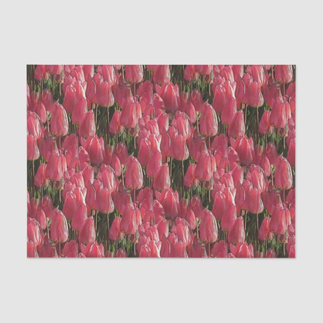Pink Tulips Floral Seidenpapier (Vorderseite)