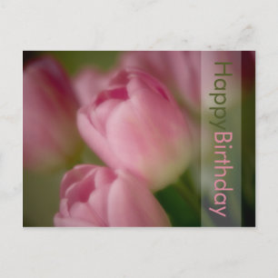 Pink Tulips Geburtstagskarte Postkarte