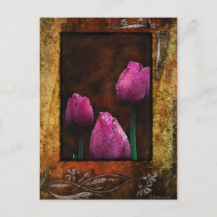 Pink Tulips-Gerahmt Postkarte