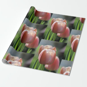 Pink Tulips Geschenkpapier