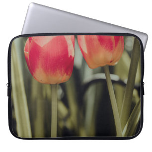 PINK TULIPS IN BLOOM LAPTOPSCHUTZHÜLLE