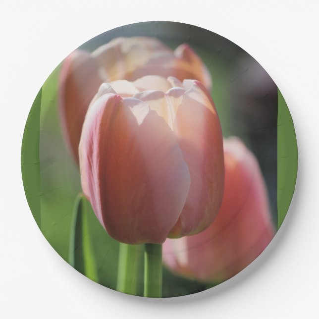 Pink Tulips Pappteller (Vorderseite)