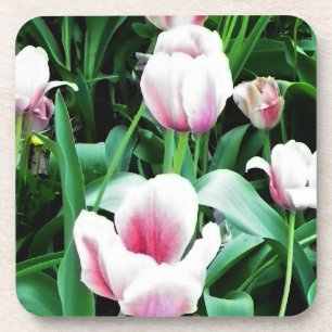 Pink Tulips Picture Getränkeuntersetzer