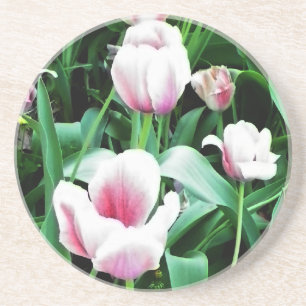 Pink Tulips Picture Sandstein Untersetzer