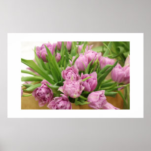Pink Tulips Poster