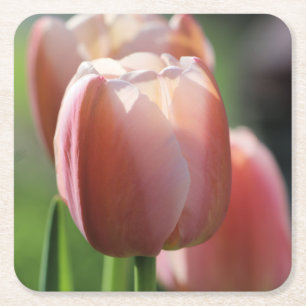 Pink Tulips Rechteckiger Pappuntersetzer