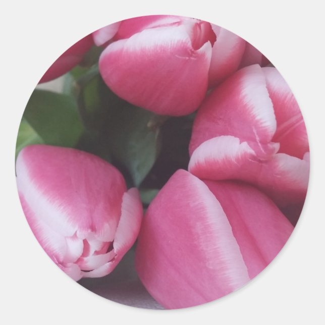 Pink Tulips Runder Aufkleber (Vorderseite)