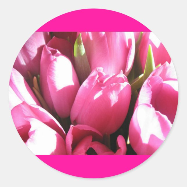 Pink Tulips Runder Aufkleber (Vorderseite)