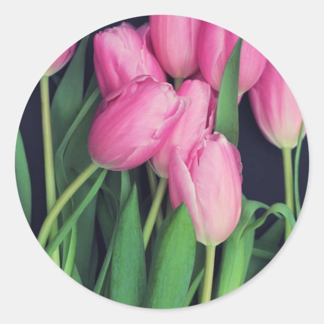 Pink Tulips Runder Aufkleber (Vorderseite)