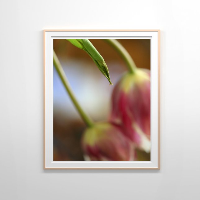 Pink Tulips Still Life Poster (Von Creator hochgeladen)