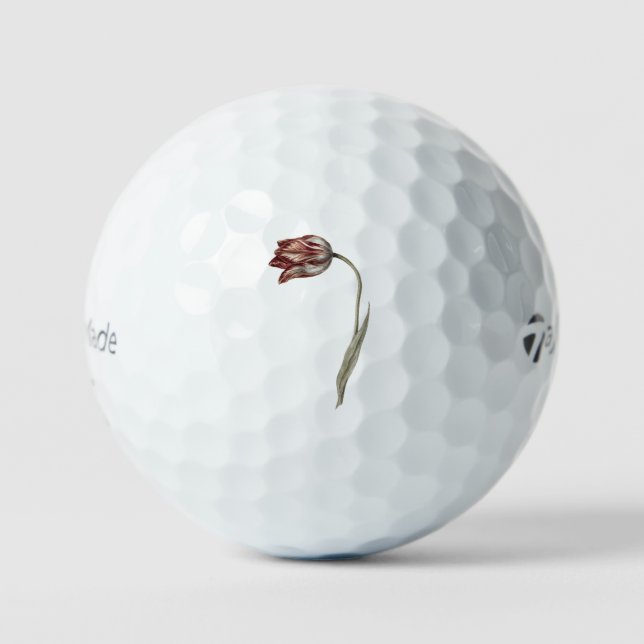 Pink Tulpe von Jean Bernard (1775-1883). Golfball (Vorderseite)