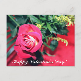 PINK UND GELBE ROSE VALENTINSTAG POSTKARTE
