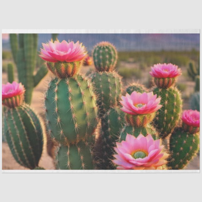 Pink und Green Cactus Decoupage Paper Arizona Seidenpapier (Vorderseite)