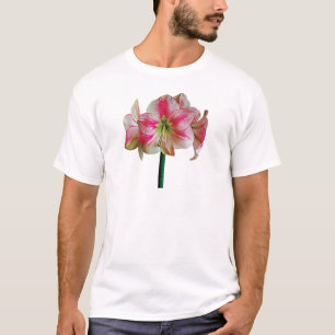 Pink und weiße Amaryllis T-Shirt