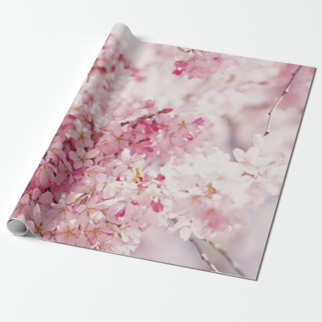 PINK UND WEISSE CHERRBLOSSOM GESCHENKPAPIER (Ungerollt)